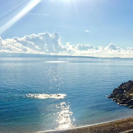 Apartment Sea View & Luxury Palm Garden Split